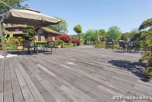 嘉善 售樓處電話 地址位置 24小時官方網(wǎng)站